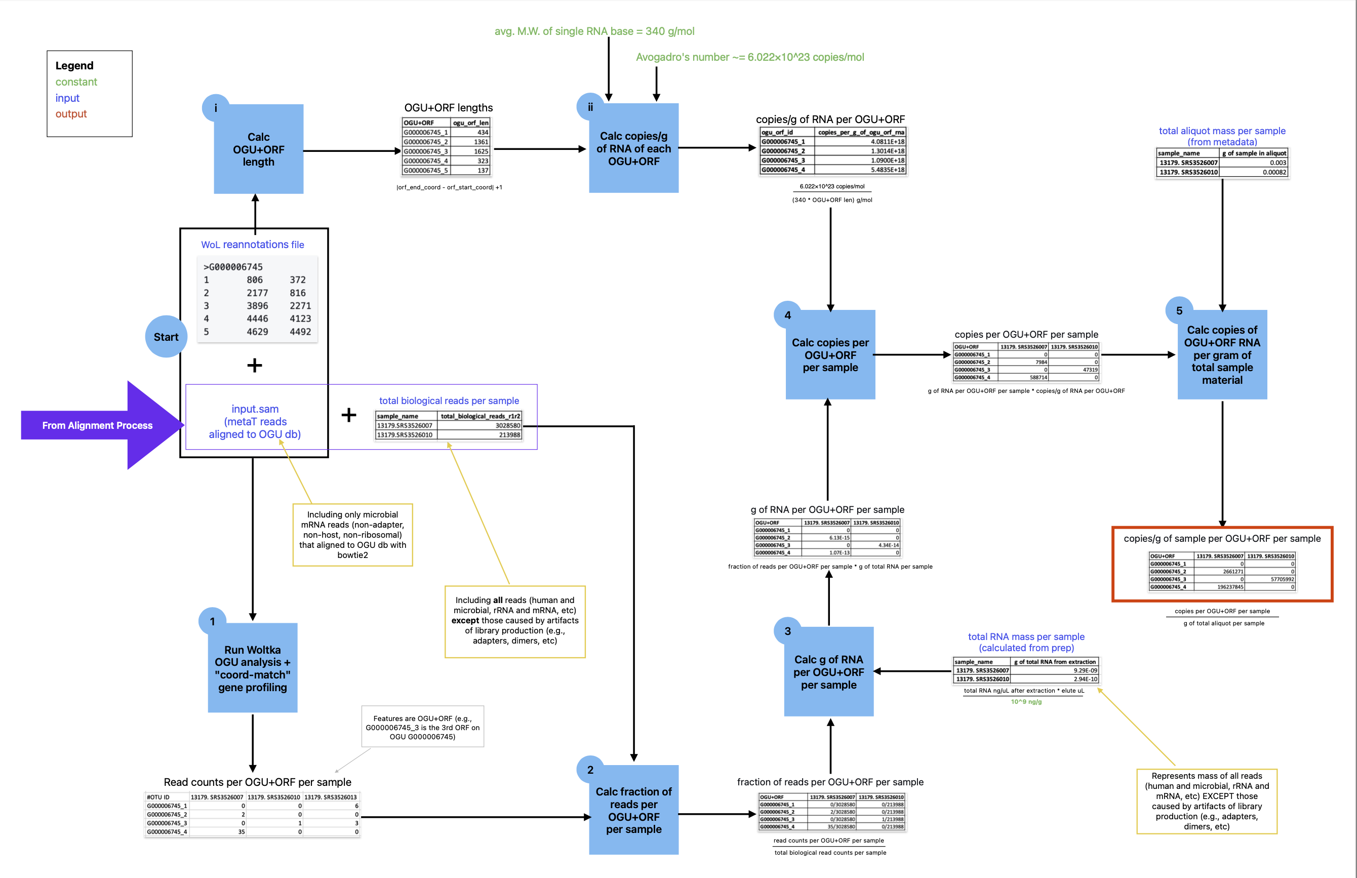 pySynDNA ORF copy counts workflow