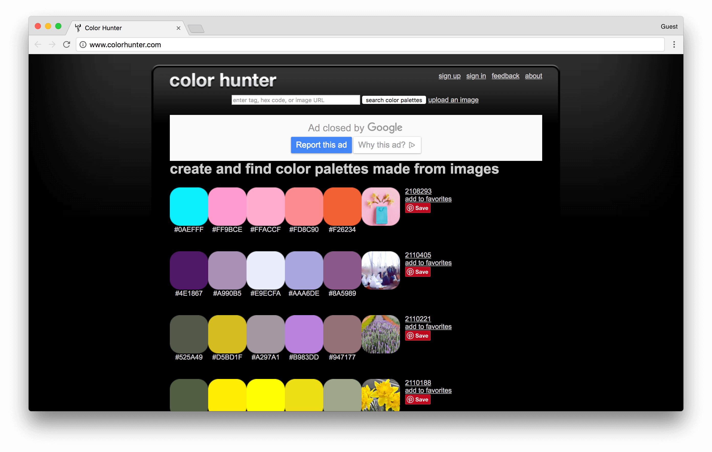 colorhunter.com