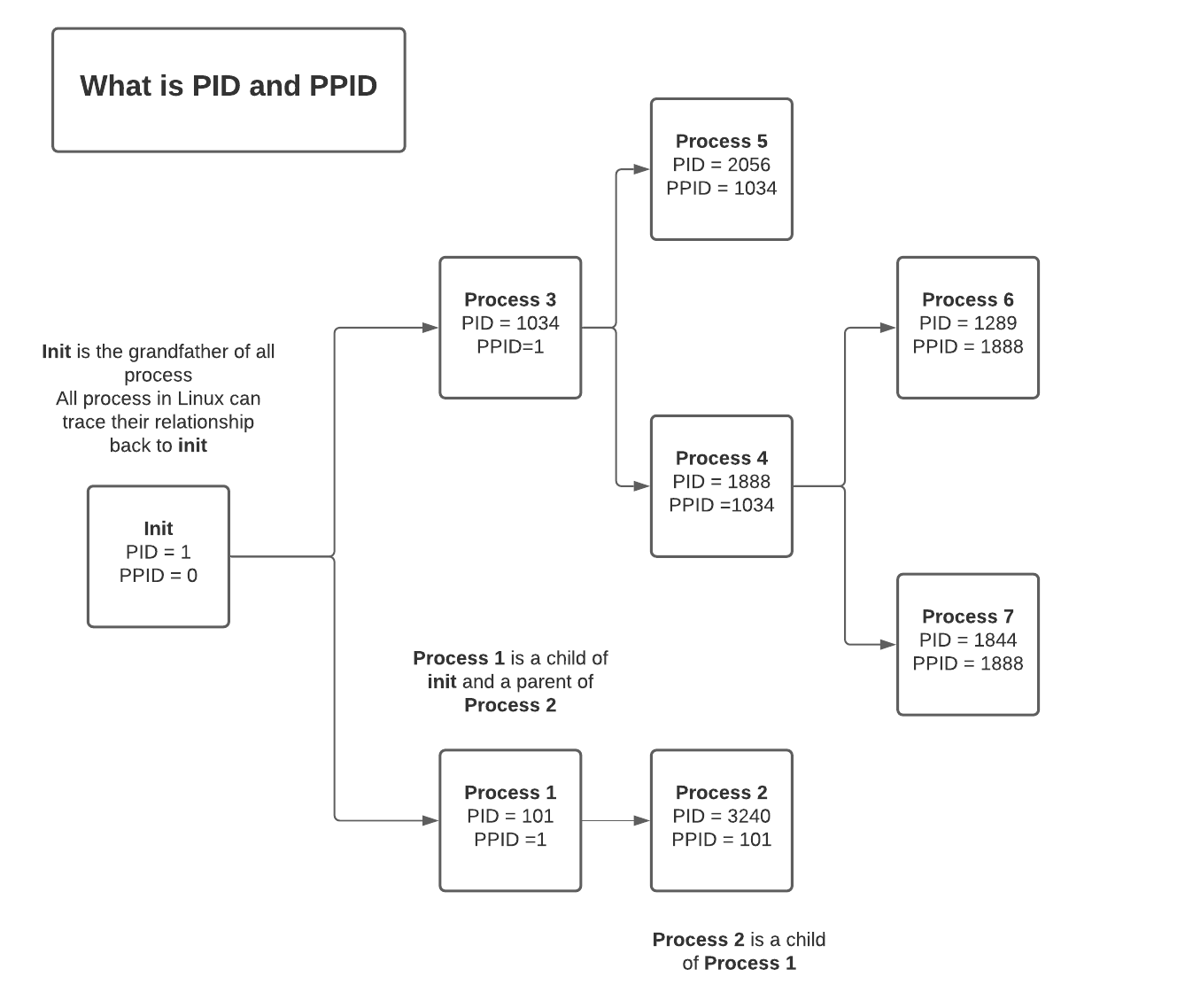 PID-PPID