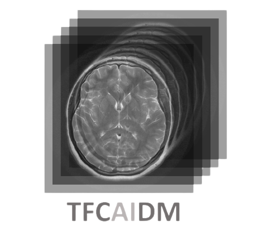 TFCAIDM Tensor