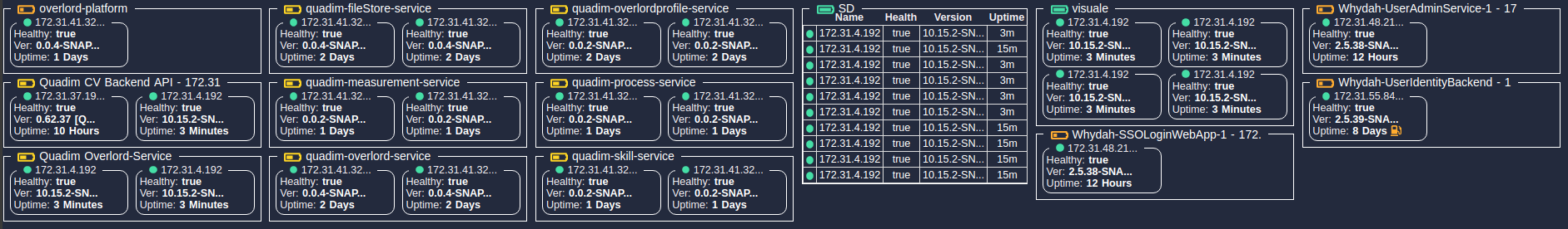 A shapshot of an early ersion of the visuale dashboard