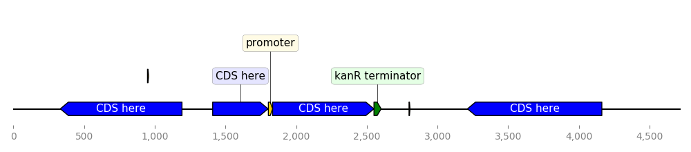 https://raw.githubusercontent.com/Edinburgh-Genome-Foundry/DnaFeaturesViewer/master/examples/custom_biopython_translator.png