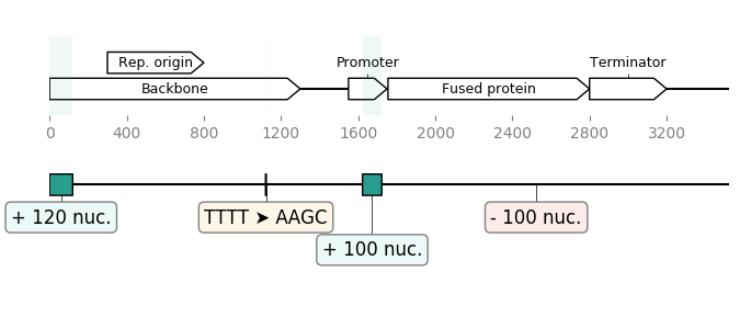 DNA Chisel algorithm