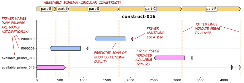 https://raw.githubusercontent.com/Edinburgh-Genome-Foundry/Primavera/master/docs/_static/images/annotated_primer_selection.png