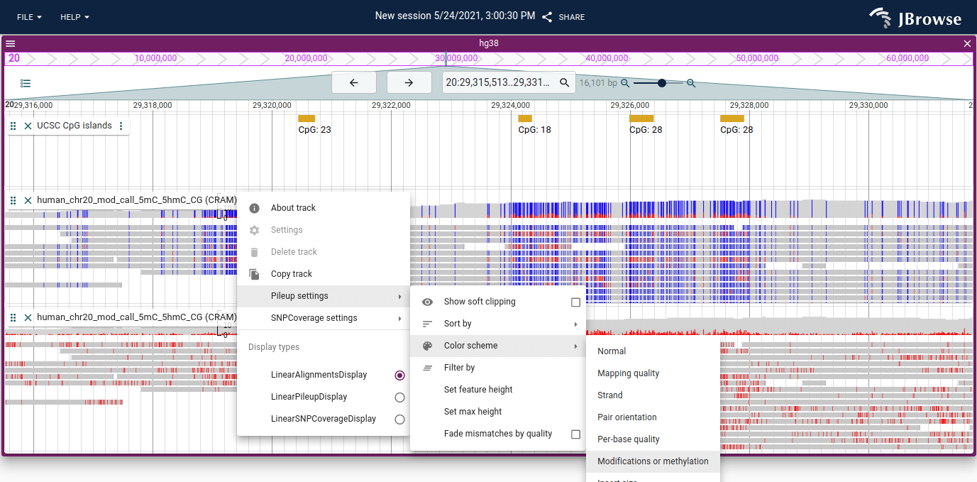 Screenshot of alignments tracks colored by methylation and base modification