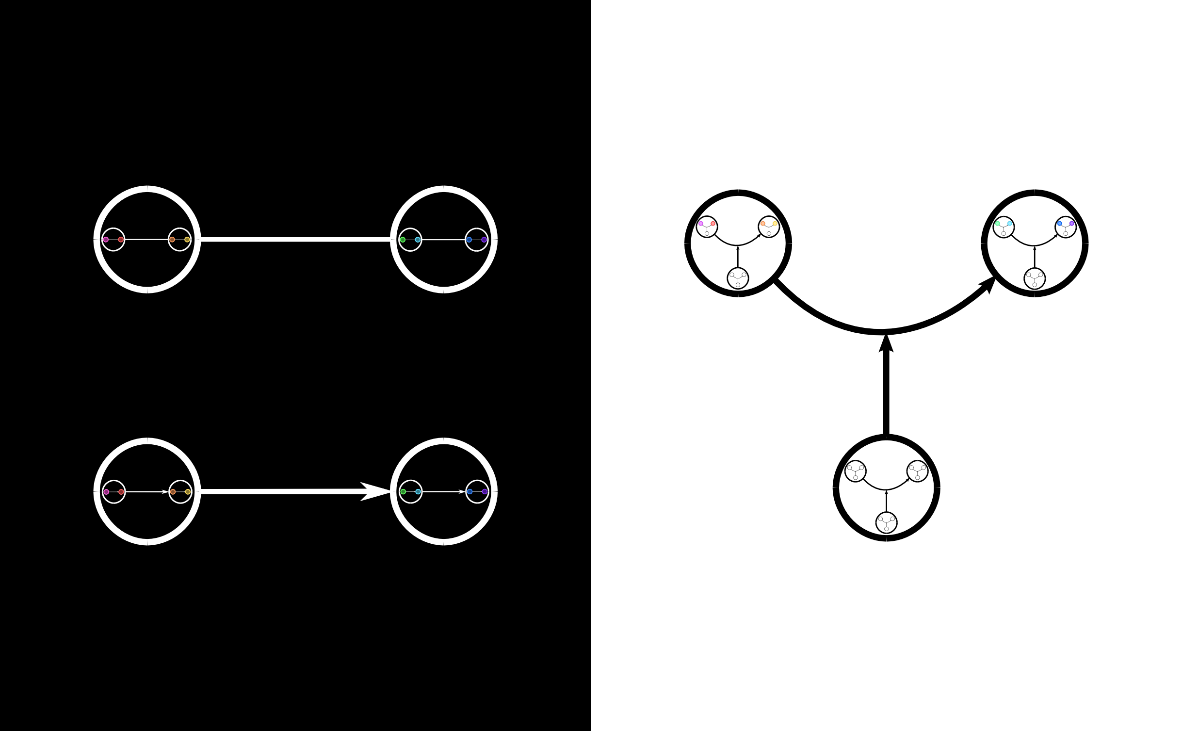 white regular & directed links with coloured 8 elements sequence structure, black typed link with coloured 8 elements sequence structure