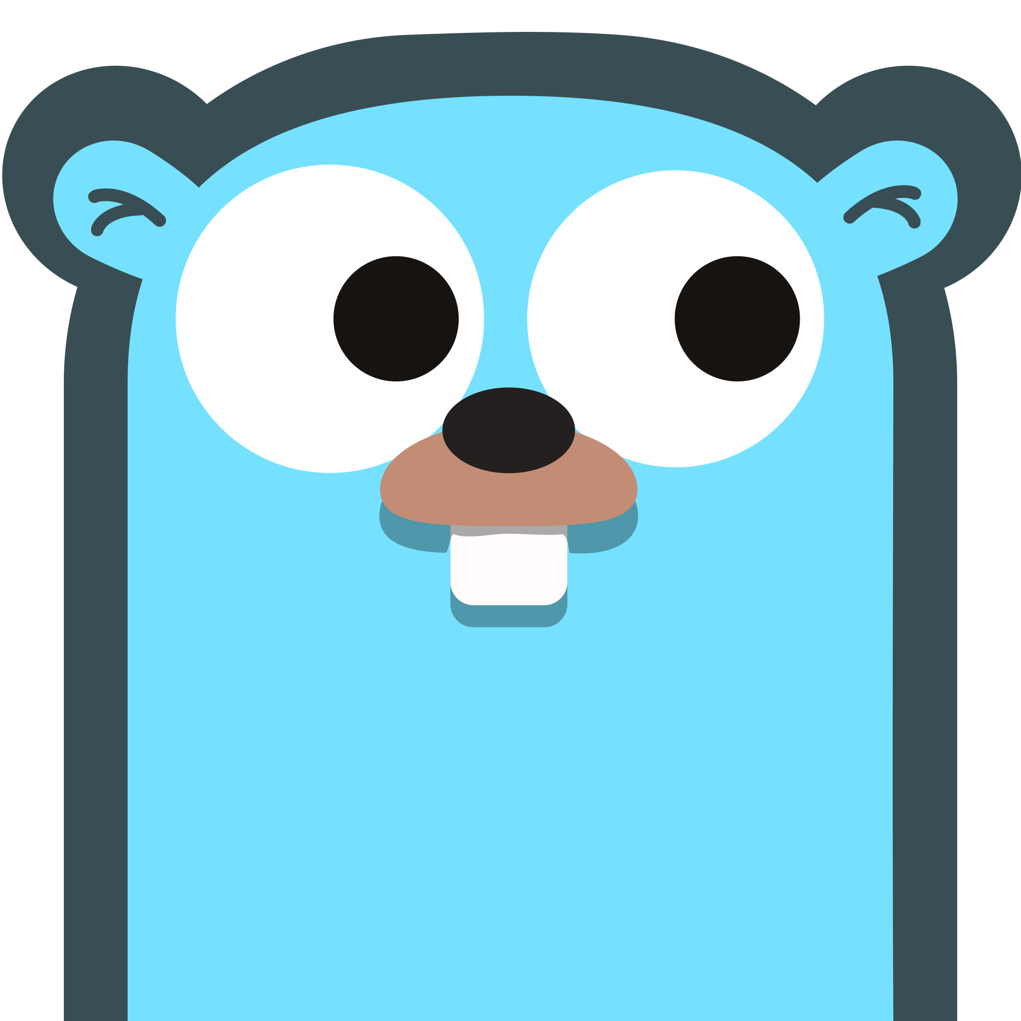 GoLang