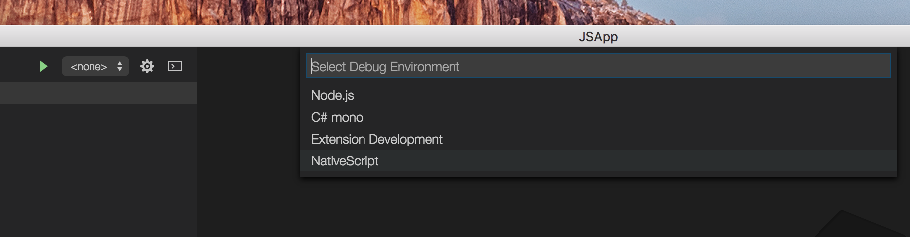 NativeScript debug settings