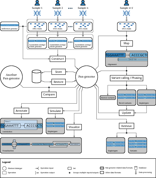 Pangenomics operations