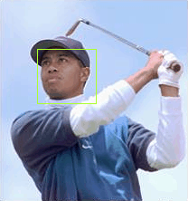 Tiger Woods' face