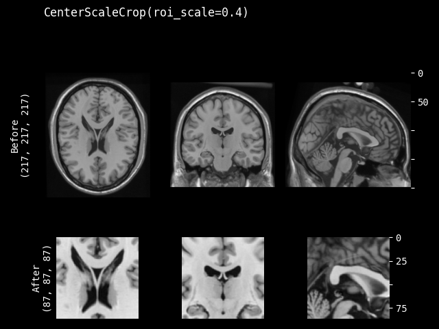 example of CenterScaleCrop