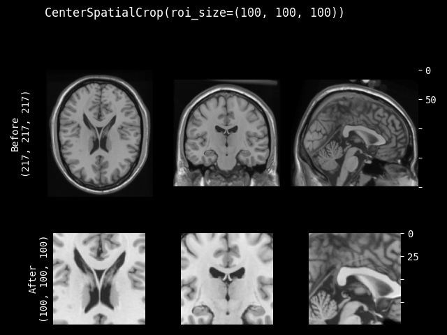 example of CenterSpatialCrop