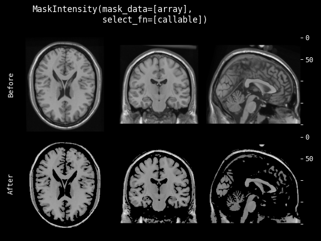 example of MaskIntensity