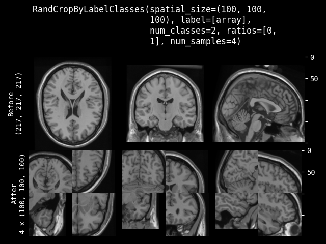 example of RandCropByLabelClasses