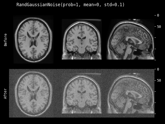 example of RandGaussianNoise