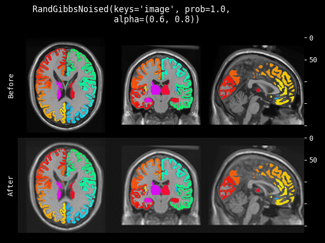 example of RandGibbsNoised