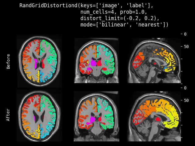 example of RandGridDistortiond