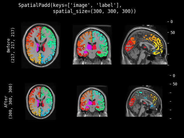 example of SpatialPadd