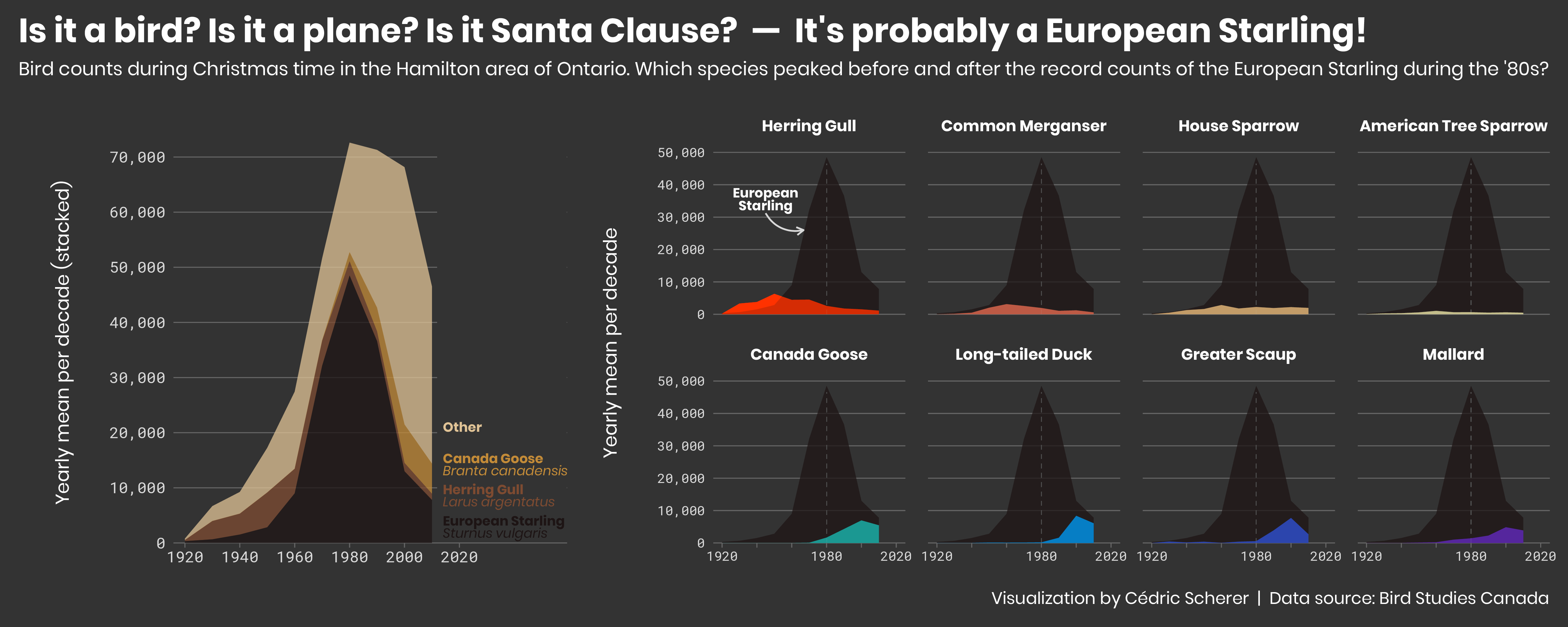 ./plots/2019_25/2019_25_BirdsXmas.png