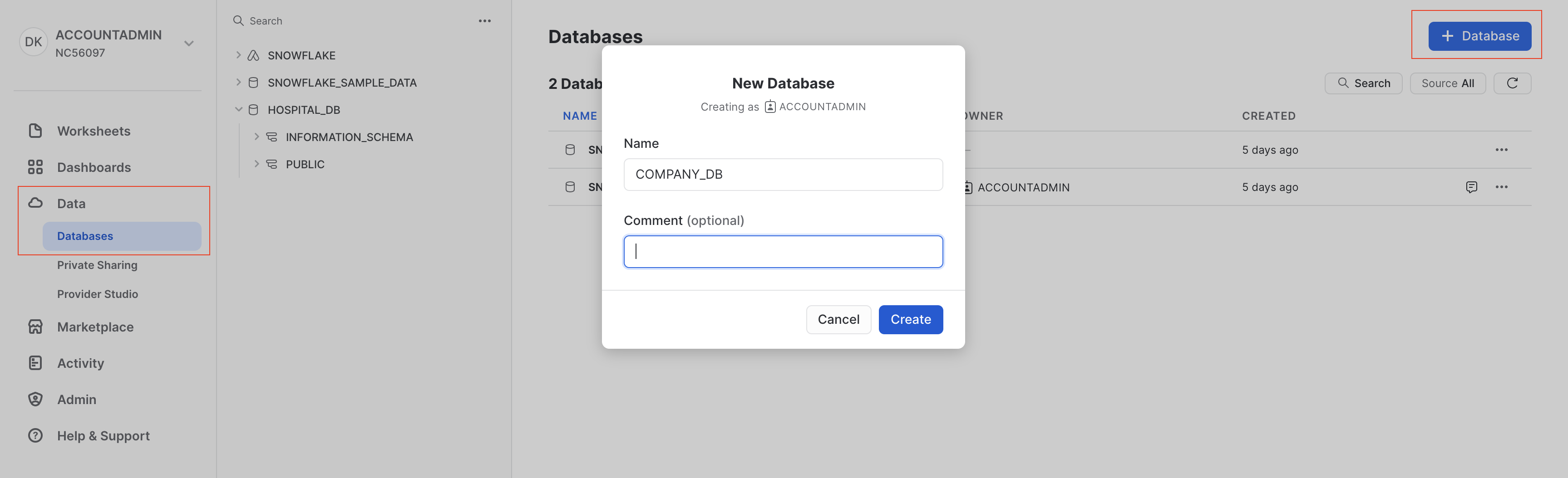 Snowflake Database