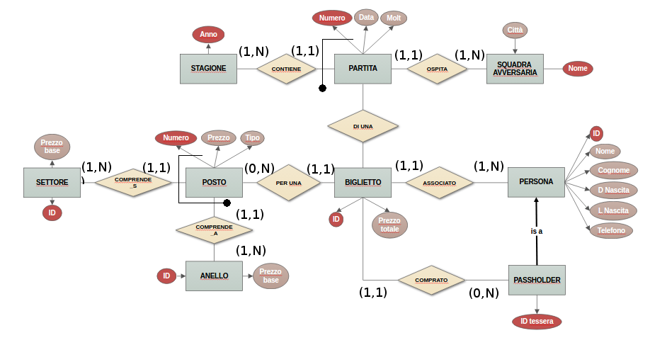 ER Schema