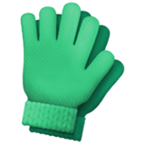 gloves