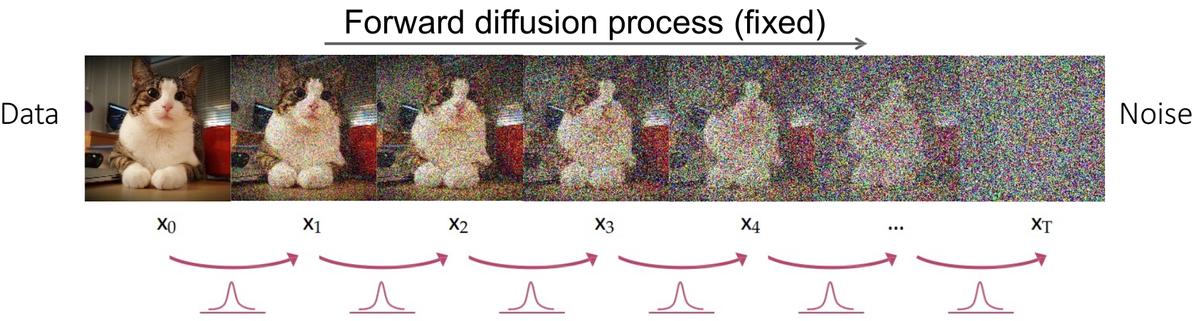 Forward Diffusion Process