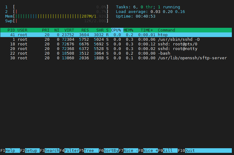 Image of htop