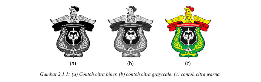 Jenis-jenis citra