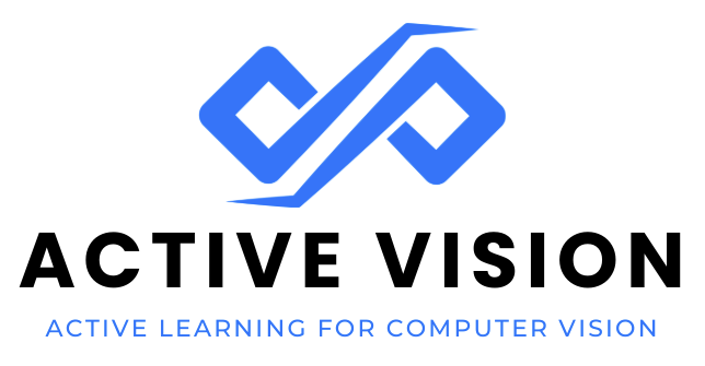 active-vision