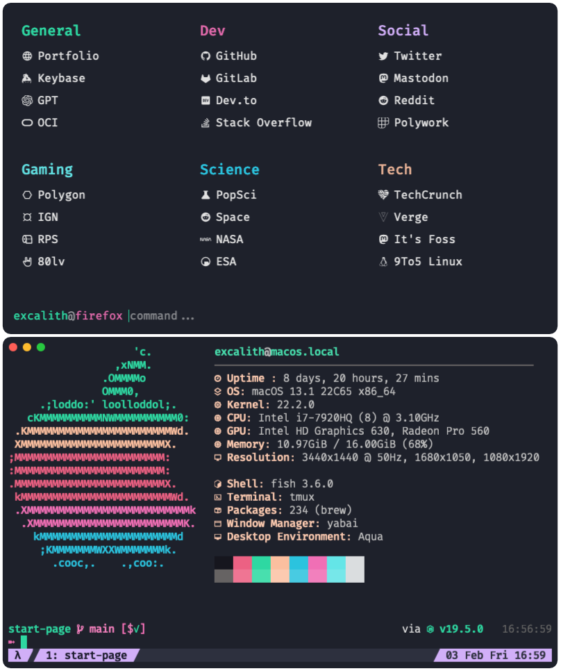 Comparison of Start Page with my terminal