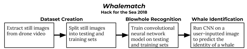 This block diagram