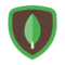 mongodb