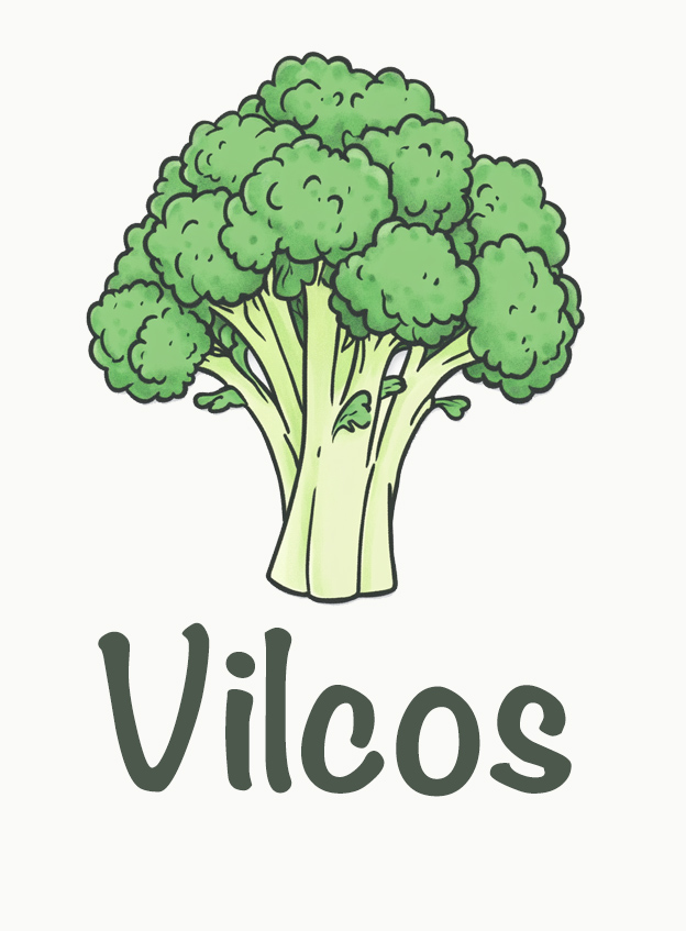 Vilcos Framework Logo