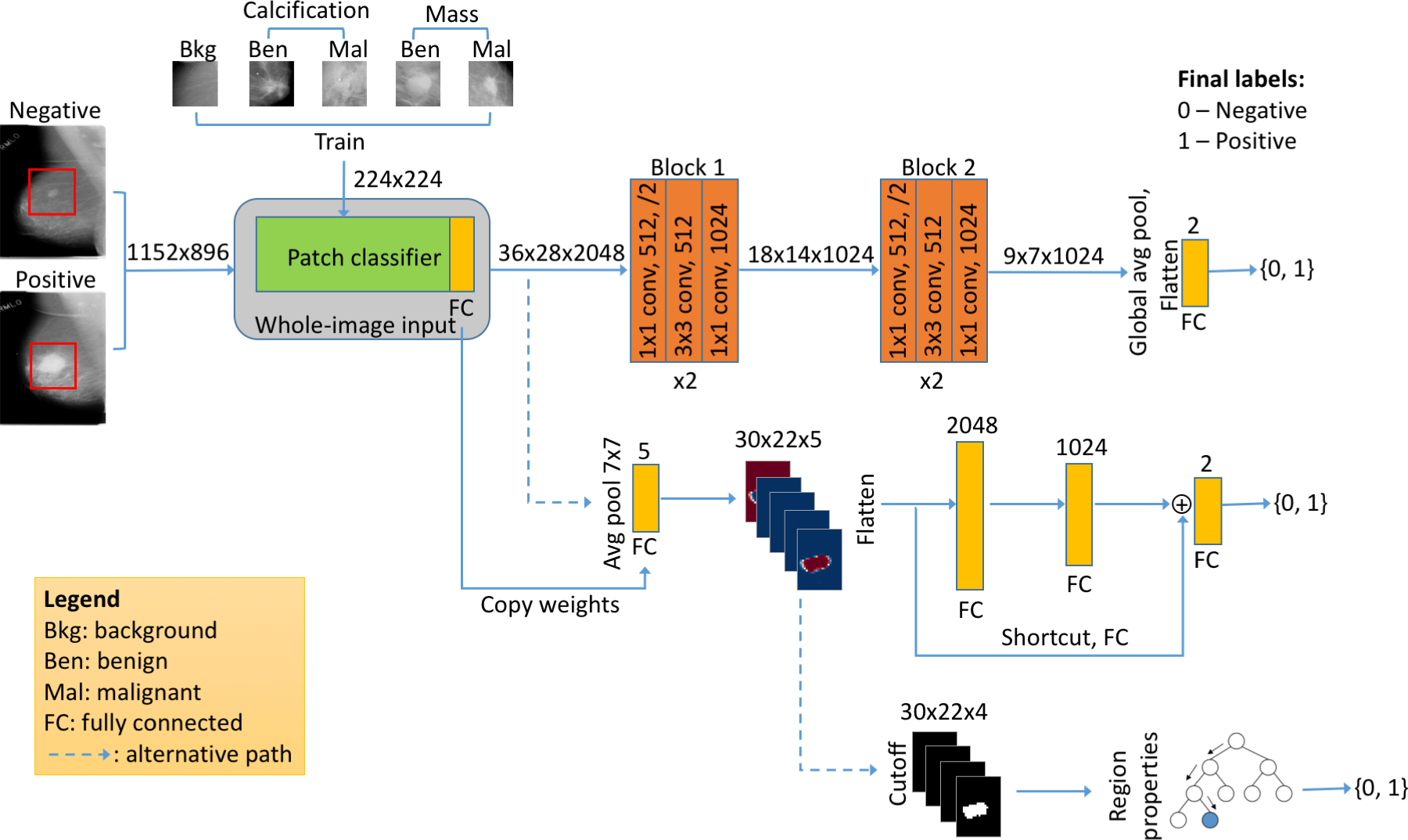 Fig1