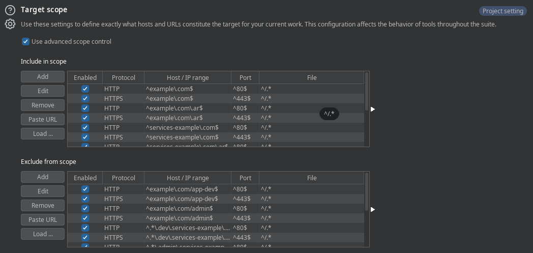 preview-burpsuite