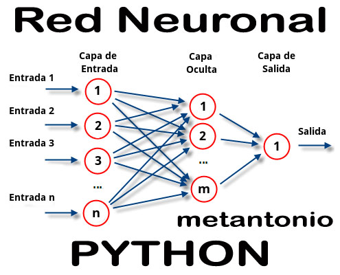 RED NEURONAL