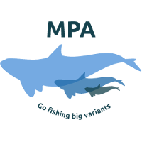 MPA