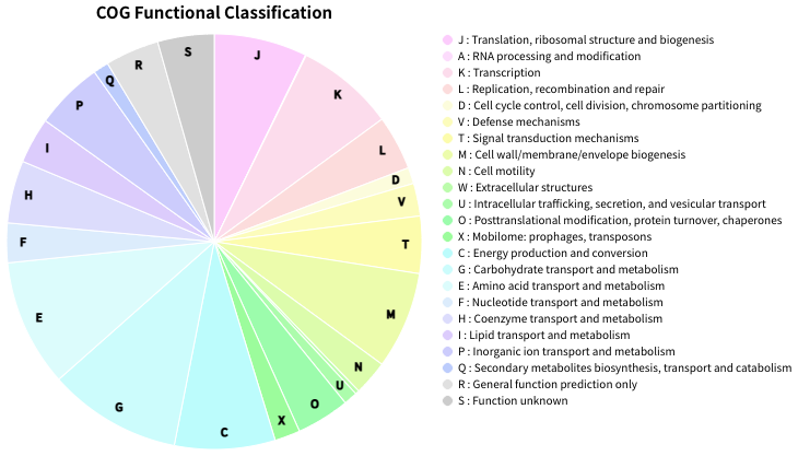 classifier_count_piechart