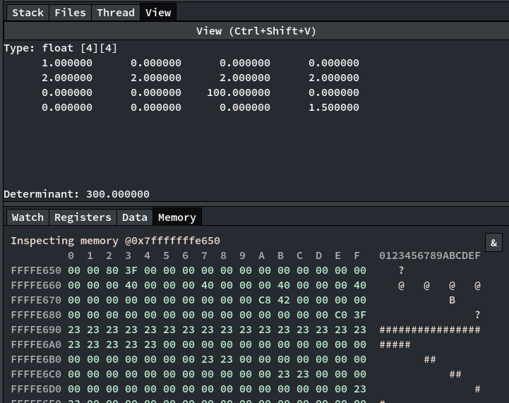 A screenshot showing the memory window and extended watch expression view.