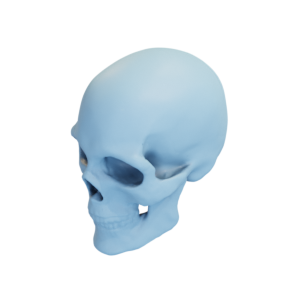 skull