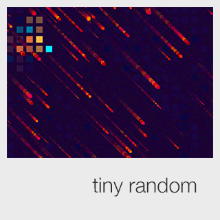 tiny random