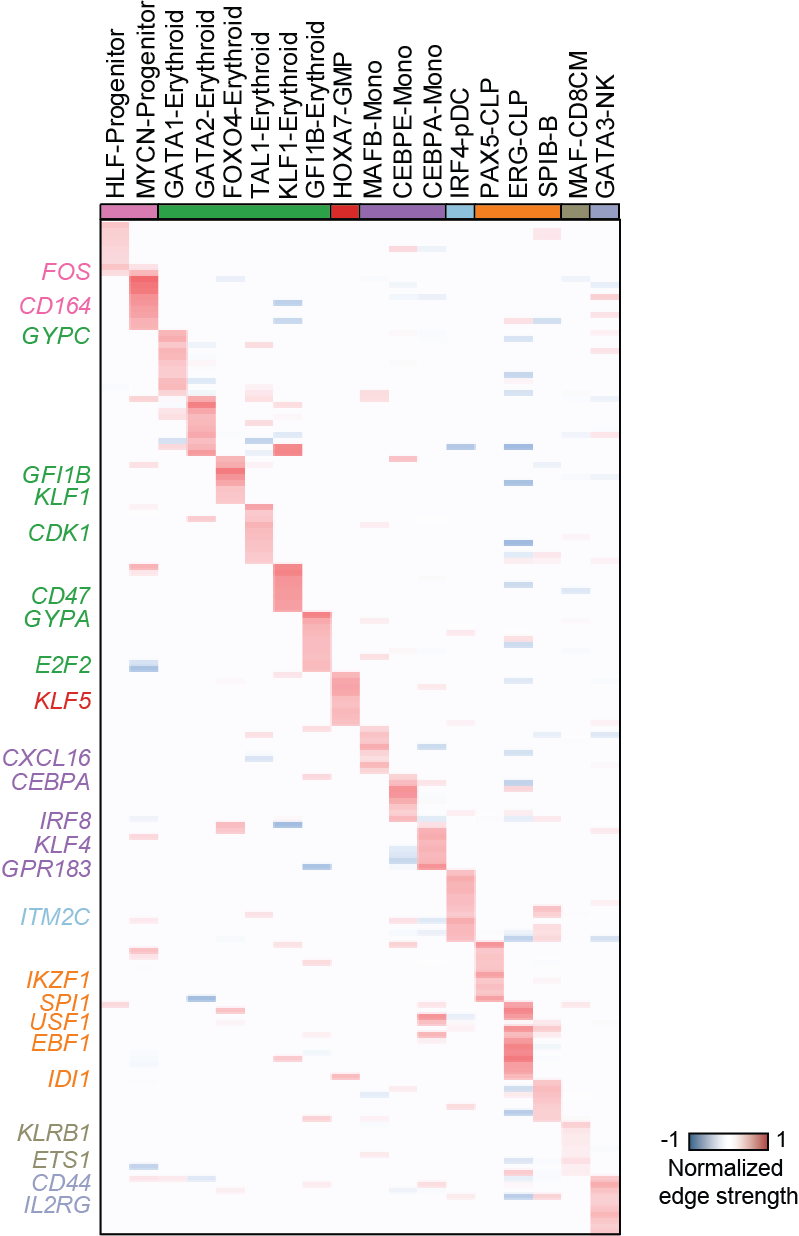 https://raw.githubusercontent.com/pinellolab/dictys/master/doc/images/Global_heatmap.png