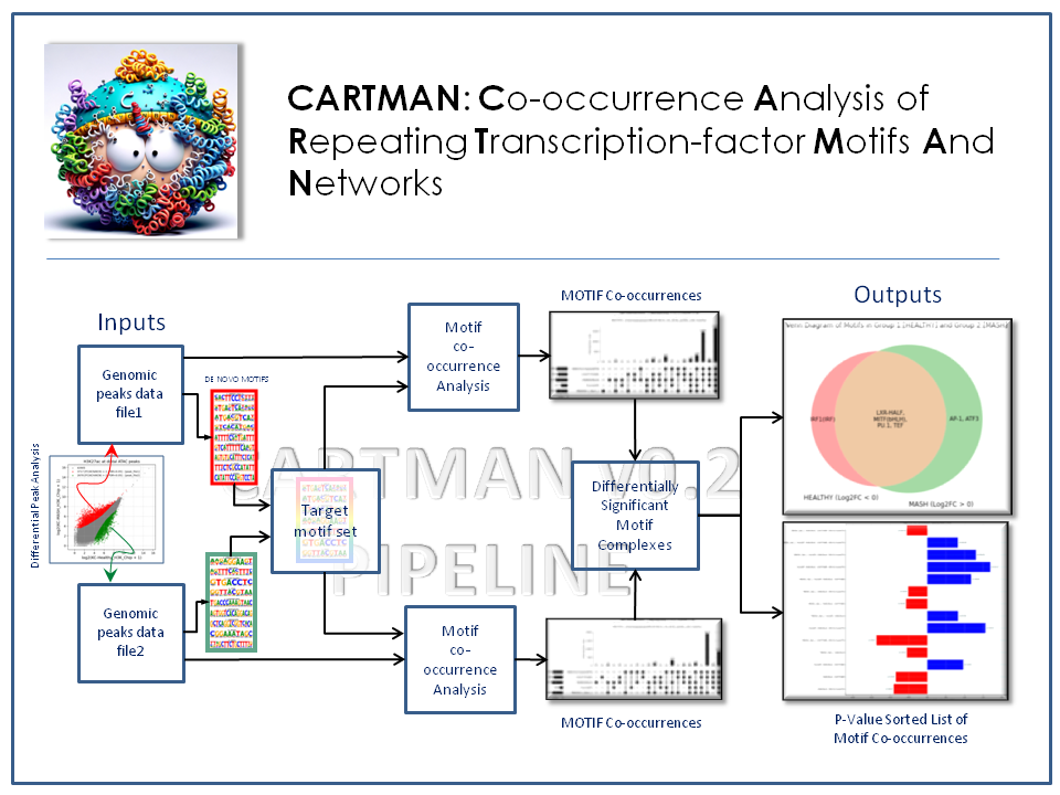 CARTMAN Screenshot