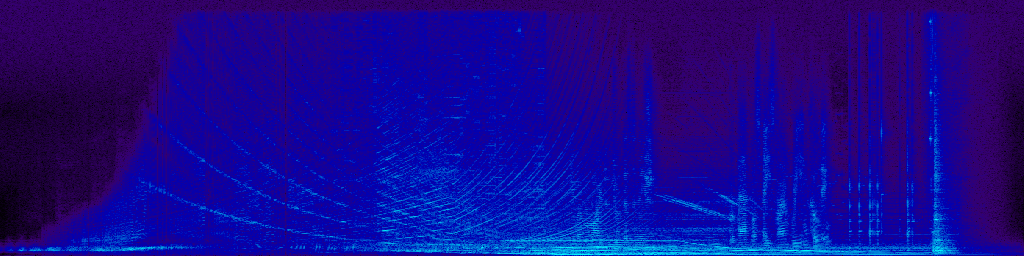 Sample sonogram