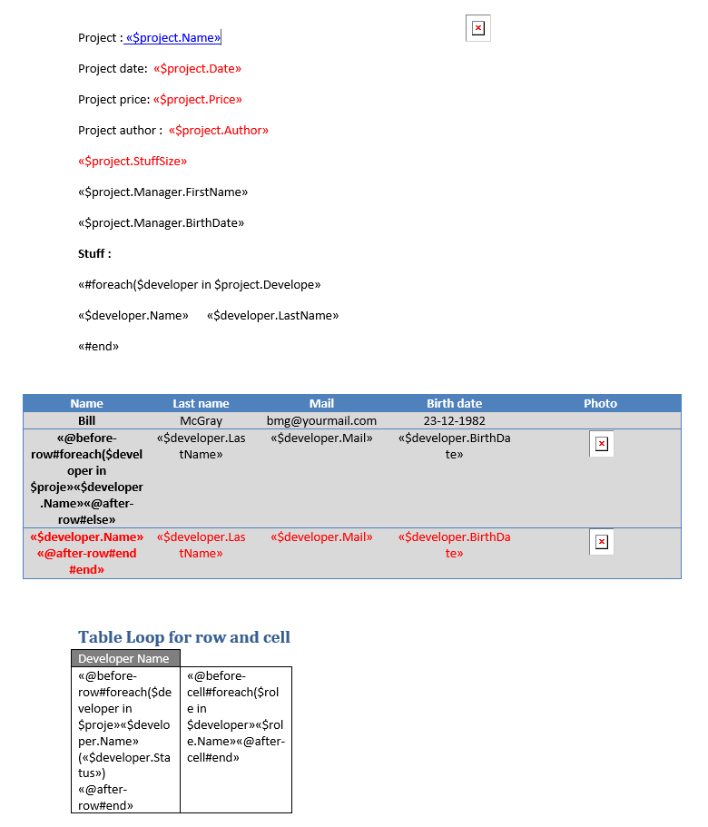 DocxProjectWithVelocity.docx document template