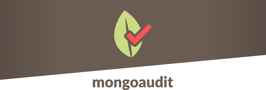 mongoaudit