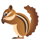 chipmunk