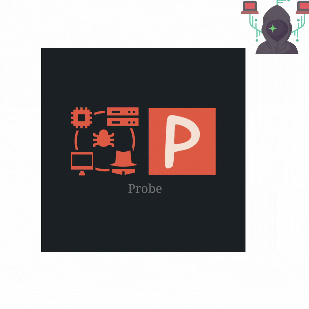 Probe